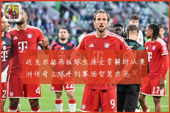 迈克尔赫西板球生涯全景解析从澳洲传奇击球手到赛场智慧典范